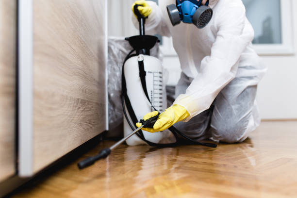 Best Exterminator Services  in Girardville, PA