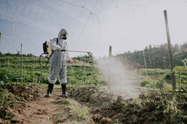 Best Mosquito Control Services  in Girardville, PA