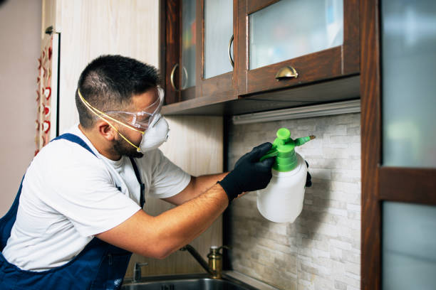 Best Bed Bug Extermination  in Girardville, PA