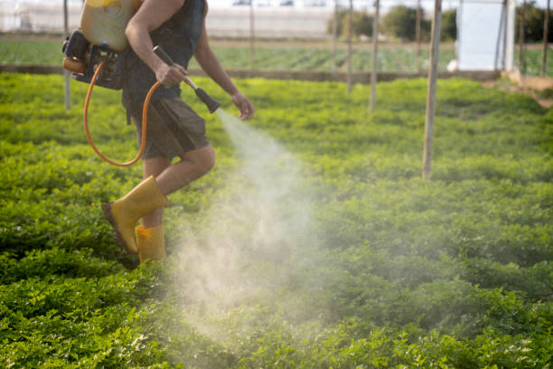 Best Pest Inspection Near Me  in Girardville, PA