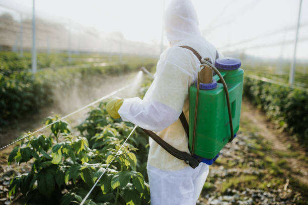 Best Best Pest Control Companies  in Girardville, PA